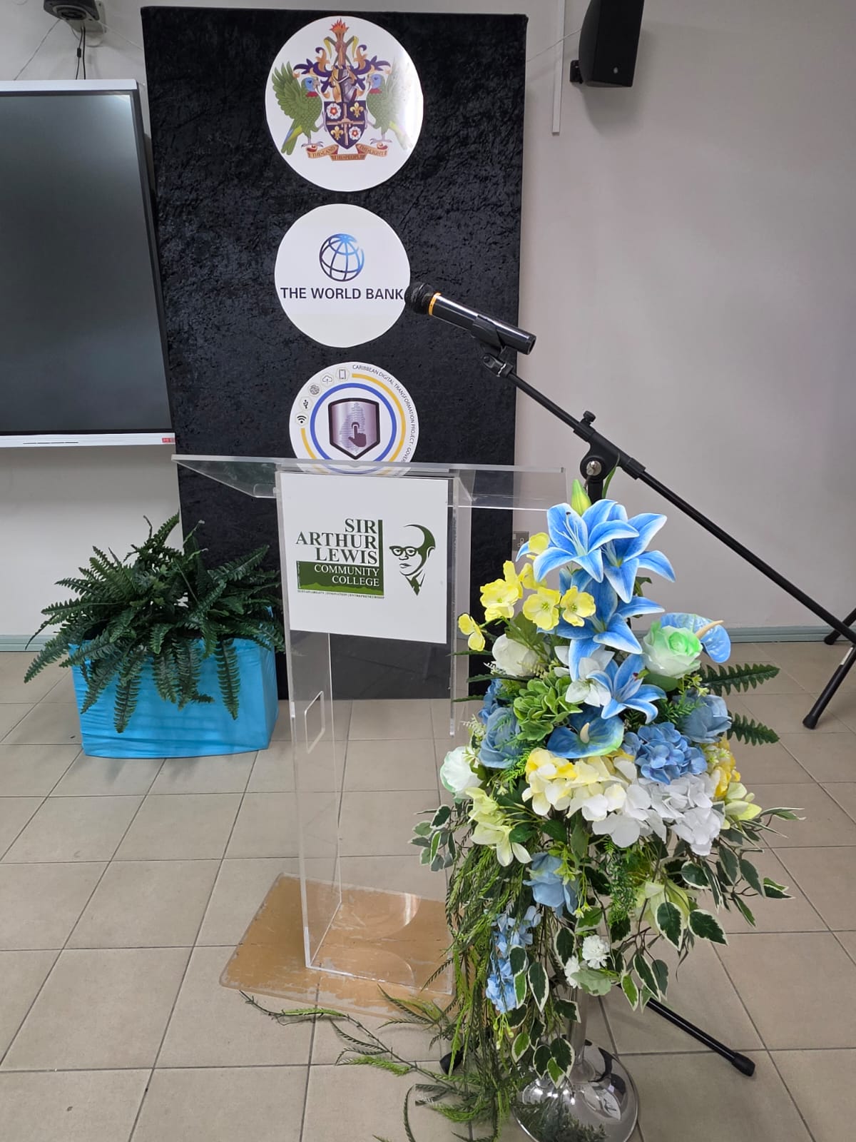Shamack Designs owner